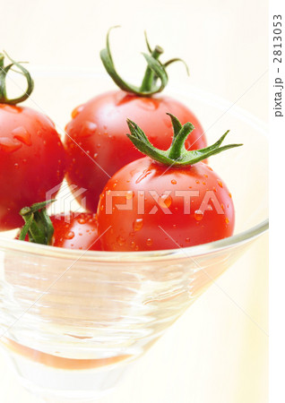 ミニトマト ミニトマト 2813053