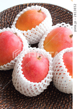 アップルマンゴー 2813652