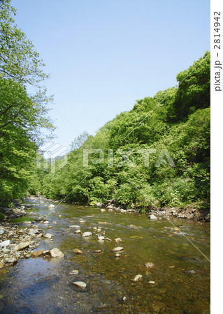 白神山地の渓流 2814942
