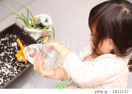 水やりをする女の子 水やりをする女の子 2815157