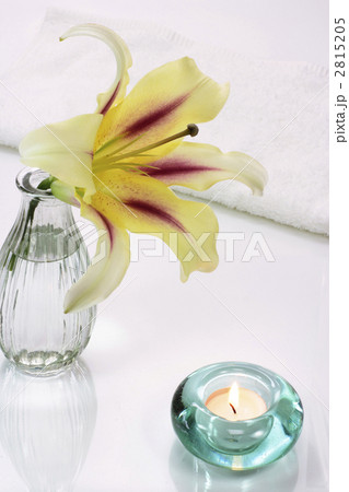 百合の花 2815205