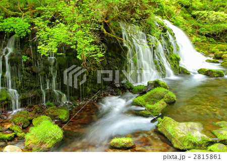 新緑の元滝伏流水 新緑の元滝伏流水 2815861