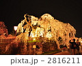 夜桜 2816211