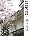 久保田城と桜 2816212