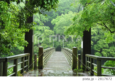 京都宇治川 天ヶ瀬吊り橋の写真素材