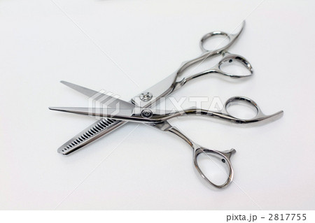 シザー 2817755