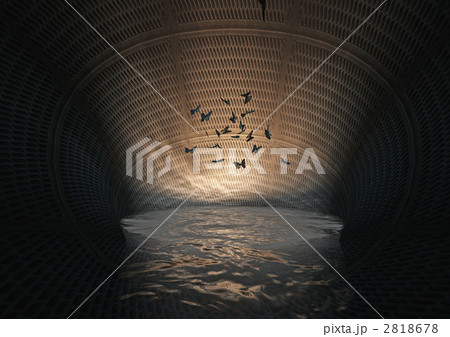 幻想世界(源流) 幻想世界(源流) 2818678