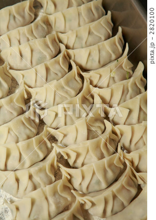 ぎっしり並んだ手作り餃子 ぎっしり並んだ手作り餃子 2820100