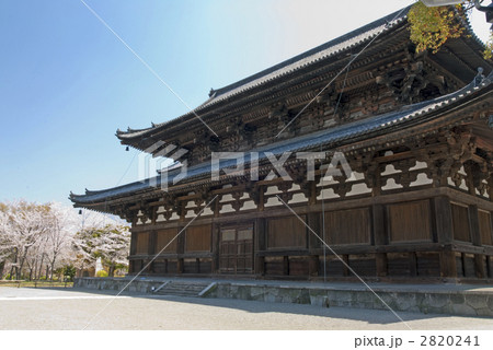東寺 金堂 東寺 金堂 2820241