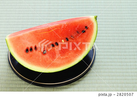 スイカ 2820507