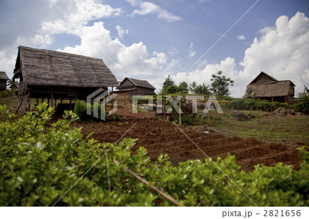 インレー湖畔にて 2821656