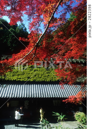 平野屋 平野屋 2822398