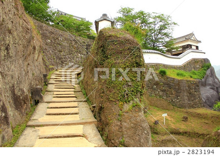 臼杵城址 2823194