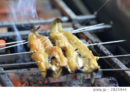 うなぎ うなぎ 2823944