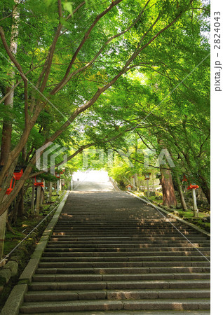 法輪寺 2824043
