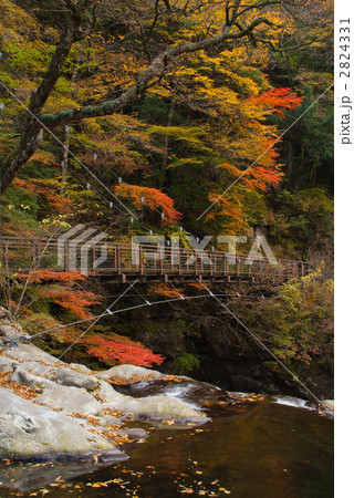 みたらい渓谷 2824331