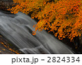 みたらい渓谷 2824334