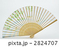 扇子 2824707
