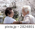 お話中のシニア 2824801