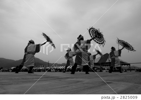 傘踊り 2825009