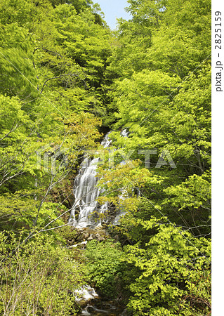 山形 白布 不動滝 山形 白布 不動滝 2825159