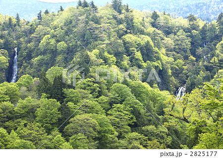 山形　白布　赤滝・黒滝 2825177