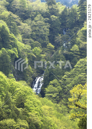 山形 白布 赤滝・黒滝 山形 白布 赤滝・黒滝 2825179