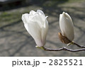2825521