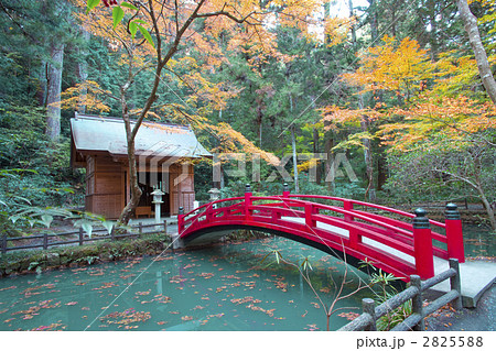 小国神社 小国神社 2825588