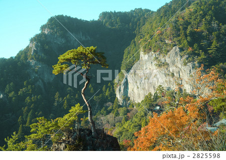 鳳来寺 鳳来寺 2825598