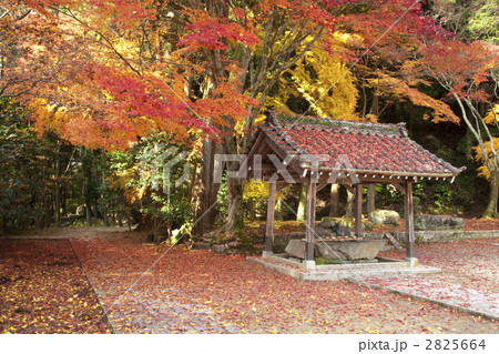 雲興寺 紅葉 雲興寺 紅葉 2825664