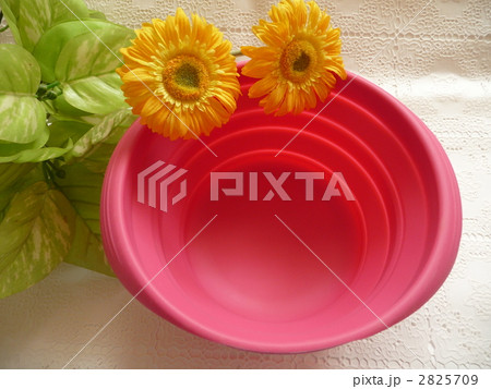 キッチン用品 キッチン用品 2825709