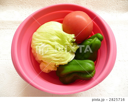 キッチン用品 キッチン用品 2825716