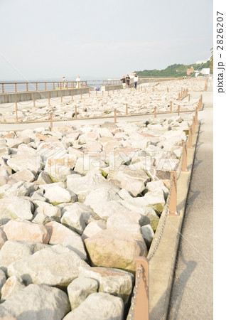 横須賀の馬堀海岸の海に面した公園 2826207