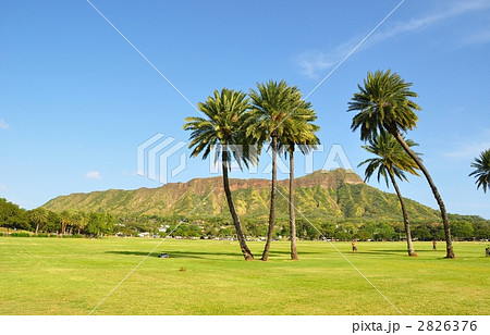 ハワイの休日 2826376
