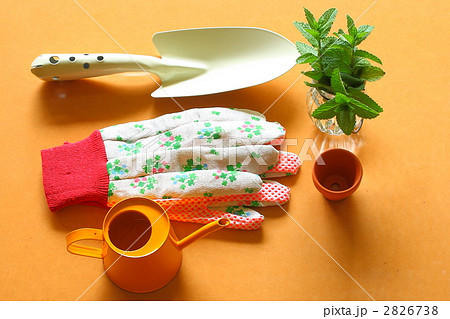 ガーデニングイメージ 2826738