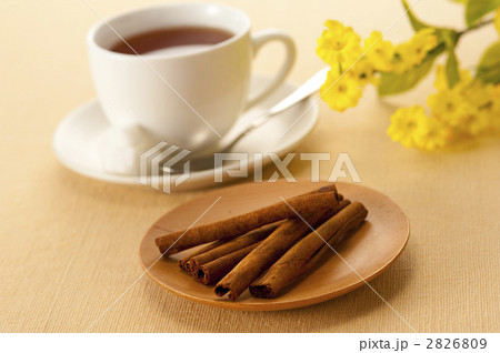 シナモン シナモン 2826809