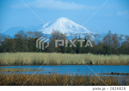 伊吹山と蓮池　冬 2826828