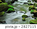 苔生す瀬 2827115
