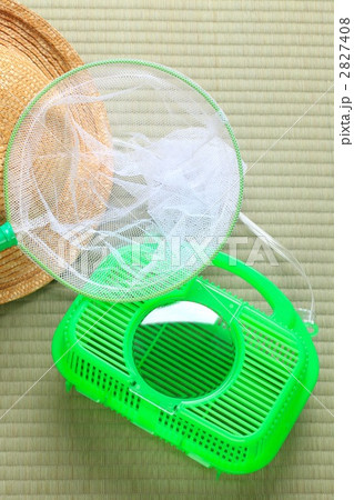 夏休み　昆虫採集 2827408