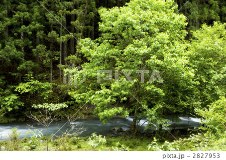 湯川渓谷 2827953