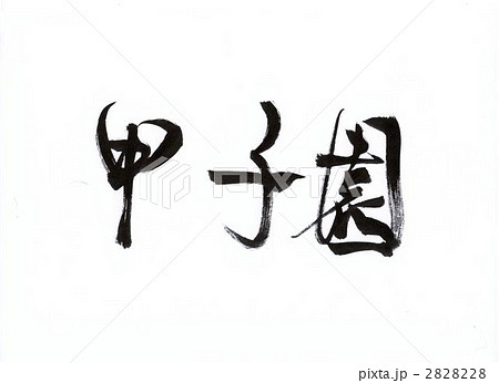 筆文字 甲子園 日本語のイラスト素材 228