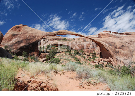 アーチーズ　ランドスケープアーチ１ 2828323