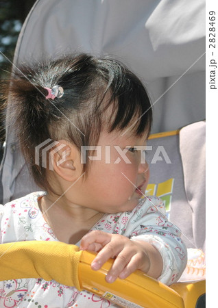 ベビーカーでお出かけ 2828469