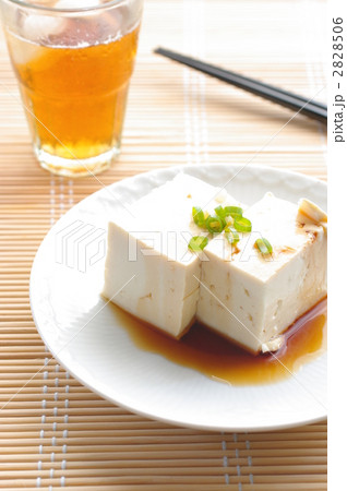 冷奴 冷奴 2828506