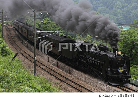 復活C61 20号機 旧型客車列車 復活C61 20号機 旧型客車列車 2828841