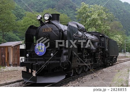 復活C61 20号機 旧型客車列車 復活C61 20号機 旧型客車列車 2828855