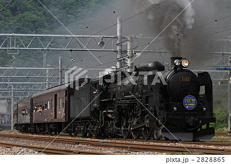復活Ｃ６１　２０号機　旧型客車列車 2828865
