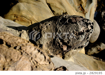 日南海岸の奇岩 2829195