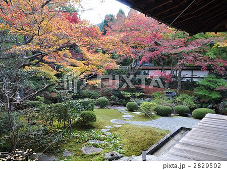 御座所庭園の朝 2829502